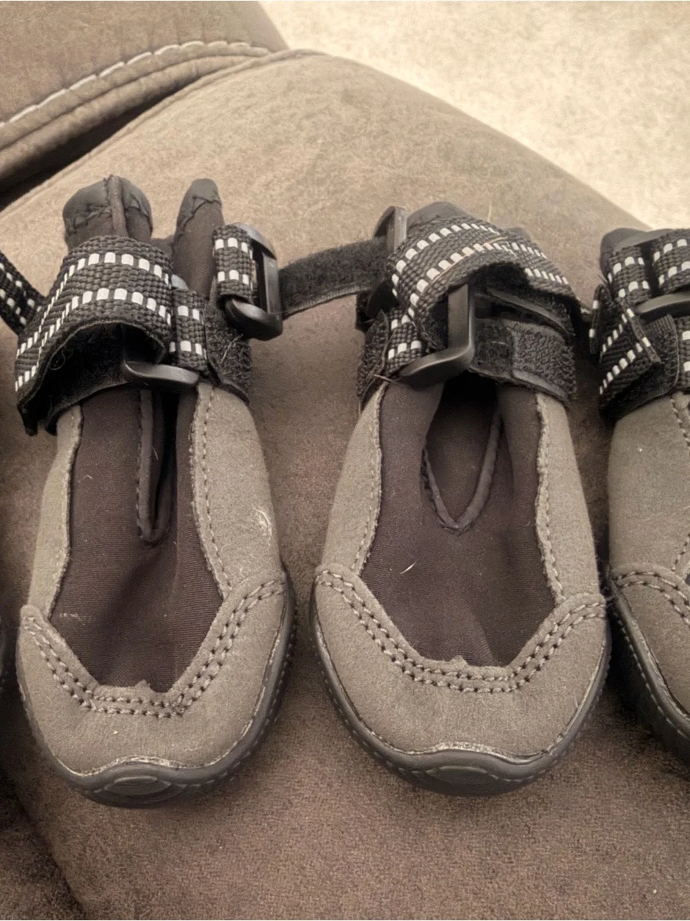 Dog shoes